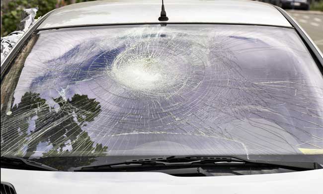 windshield & glass replacement